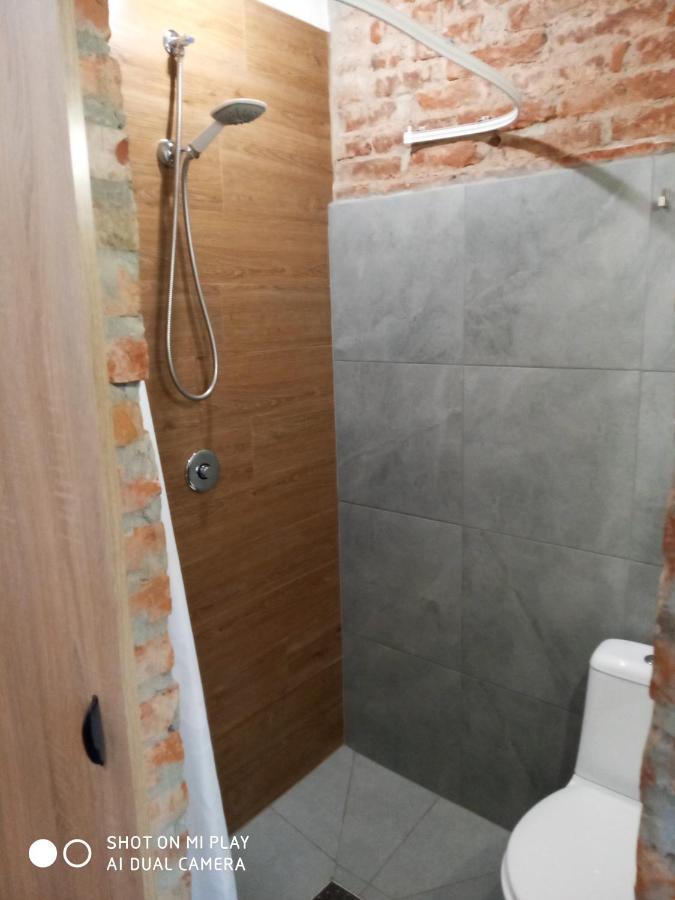 Gogol 14 Апартаменти В Історичному Центрі Міста Uzjhorod Exteriör bild